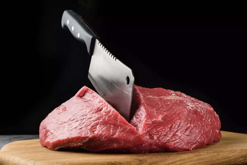 Can Kitchen Knife Cut Through Bone
