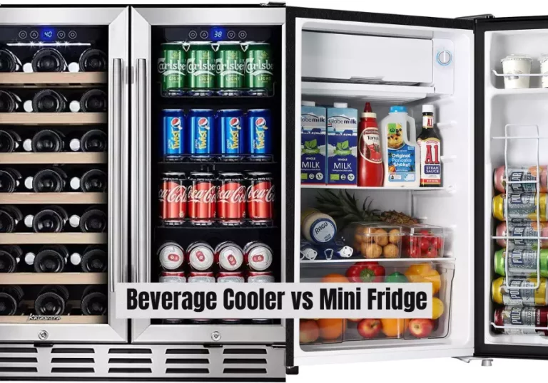 Beverage Cooler vs Mini Fridge