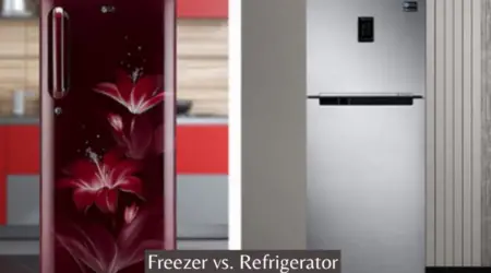 Freezer vs. Refrigerator: Which One Should You Choose for Your Home?