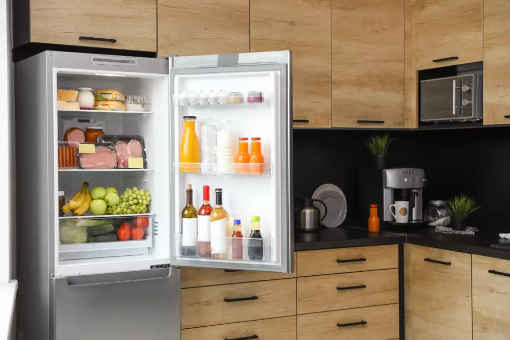 freezer vs refrigerator